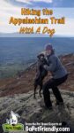 Can You Hike The Appalachian Trail With A Dog?
