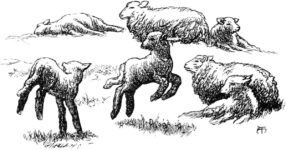 What are we all playing this bank holiday weekend?