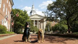 Visiting Annapolis With Pets | GoPetFriendly