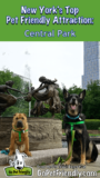 New York: Visiting Central Park With Dogs