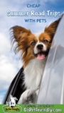 Six Cheap Summer Road Trips With Pets – Where Will You Go?